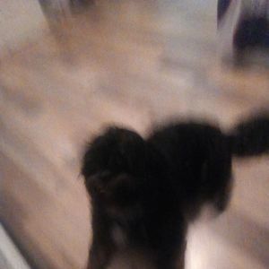 Meet your Posher, Monik 7833@hotmail.com